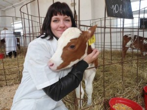 Кормление и содержание дойных коров