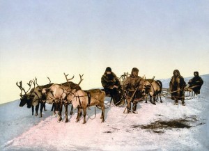 reindeer-and-people04
