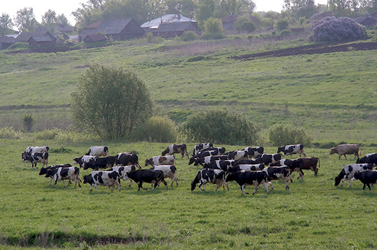 Novosti Professionalnoe Zhivotnovodstvo