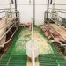 Установления наследственного заболевания